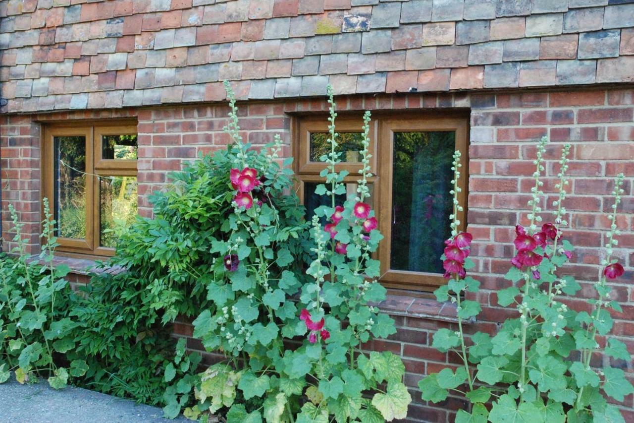 Hollyhock Cottage 애슈퍼드 외부 사진